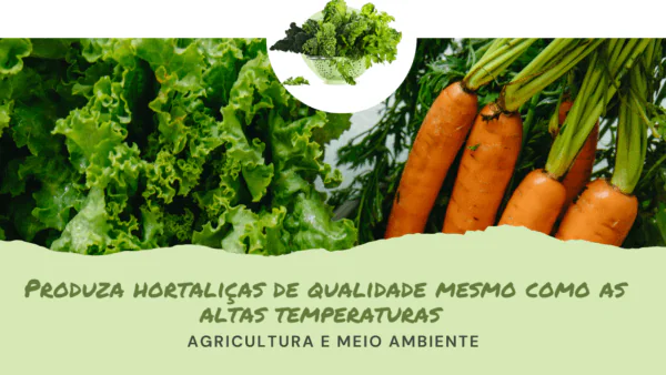 Produza hortaliças de qualidade mesmo no verão