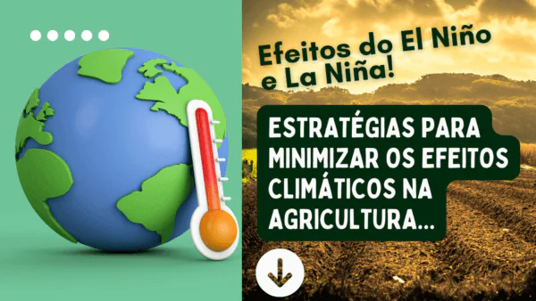 Como o La Niña e o El Niño influenciam a agricultura?