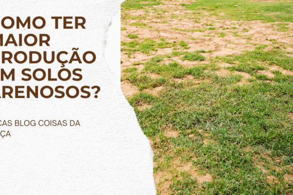 Como ter maior produção em solos arenosos?