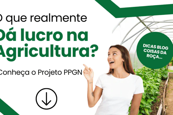 O que realmente da lucro na agricultura?