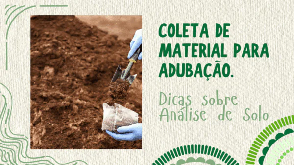 Coleta de material para adubação. Dicas sobre Análise de solo.