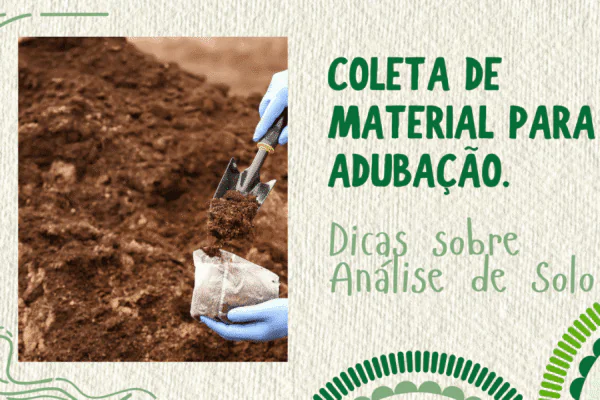 Coleta de material para adubação. Dicas sobre Análise de solo.