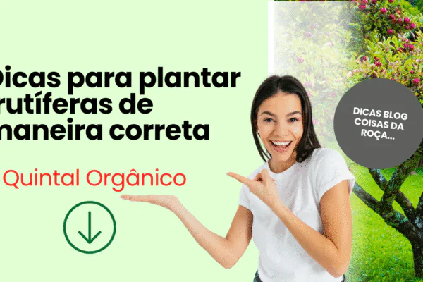 Dicas para plantar frutíferas de maneira correta