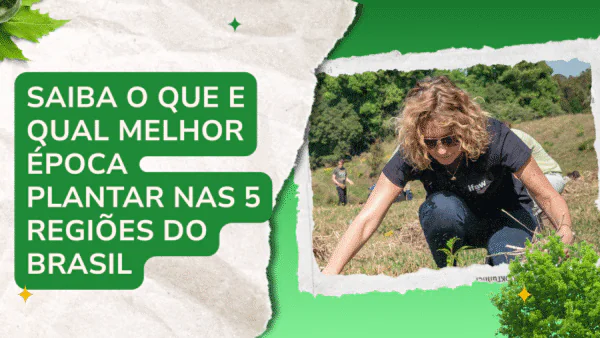 Saiba o que e qual melhor época plantar nas 5 regiões do Brasil