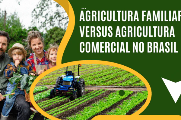Agricultura familiar versus comercial no Brasil