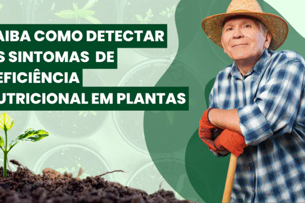 Deficiência Nutricional nas Plantas:  Evite prejuízo na sua lavoura