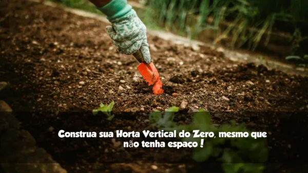 Como construir uma Horta Apartamento do zero