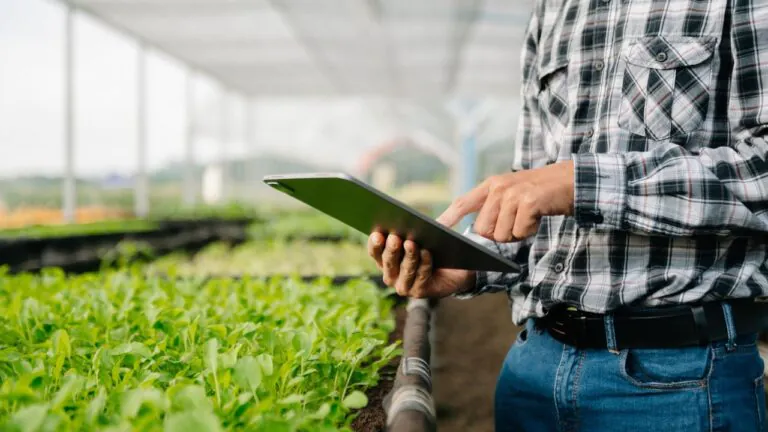 Imagem central do artigo Agronegócio_ os segmentos e produtos mais rentáveis do setor no Brasil