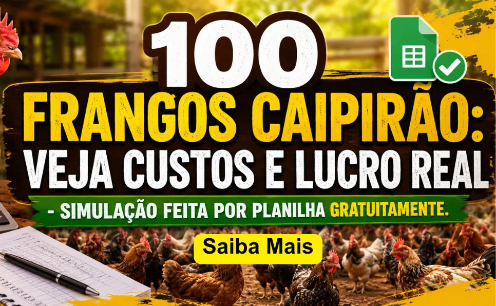 Imagem do artigo: Criação de Frango Caipirão: Como Criar Frango Caipira Pesadão Para Abate e Lucrar Mais