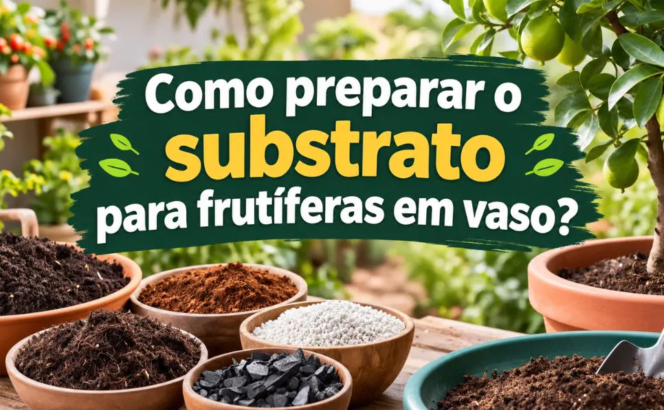 imagem do artigo Como Fazer um Substrato Poderoso para Frutíferas em Vasos